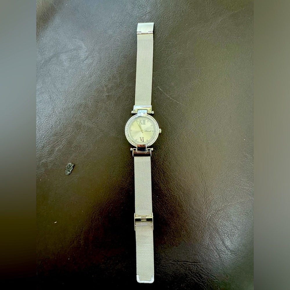 Antonoli watch (needs new battery)